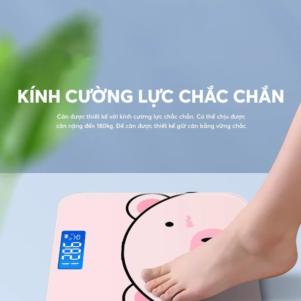 cân sức khỏe hình heo